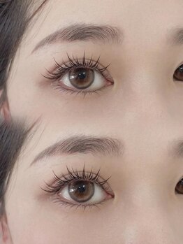 パンダアイラッシュ 上野(panda eyelash)/フラットラッシュ