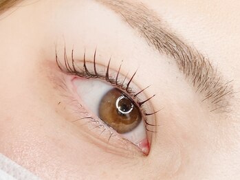 トータルビューティ ノイド(Noid)/パリジェンヌラッシュリフト