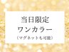 【当日限定】マグネット/カラーワンカラー/パーツプレゼント/2色迄/¥4800