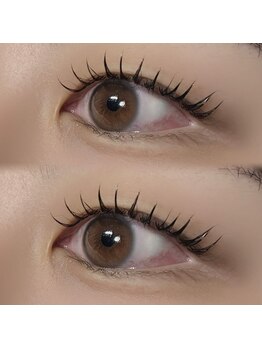 ルリアルリア(Lelie)/フラットラッシュ120本