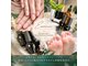エッセンス (Essence)の写真