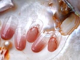 シンプルニュアンス定額