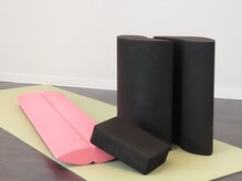 ホリック アイス コア ボディ(HOLIC ICE CORE BODY)/姿勢改善トレーニング使用ツール