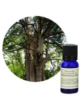 アロマルーム 柚/