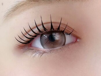 ディンプル(Dimple)の写真/【メニュー多数★】お目元に合わせたデザイン提案でモチの良さ◎来店周期を伸ばしたい方にオススメです♪