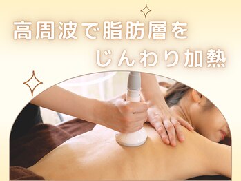 キレイサローネ 自由が丘店(KIREI SALONE)/高周波で脂肪層を じんわり加熱