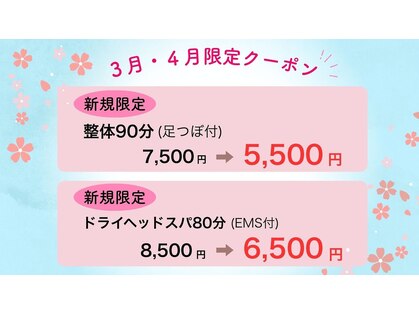 ラクダ(Rakuda)の写真