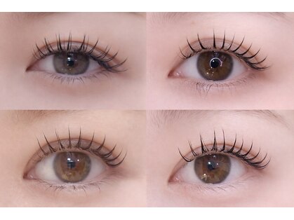 ラック(lac)の写真