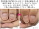 トイロ(toiro)の写真