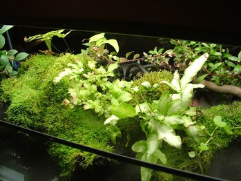 リラクゼーションサロン 一休/