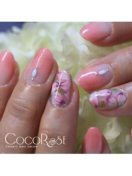 ココローズ(COCOROSE)/