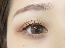 ホワイトカメリア 難波心斎橋店(WhiteCamellia)