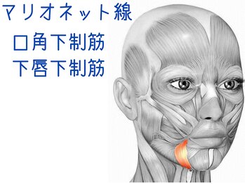 ナチュラルパーフェクトフェイス 新宿/悩みの原因は表情筋/新宿小顔