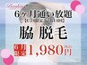 【U24美人割】脇・美容脱毛…U24限定!!６ヶ月通い放題♪最大14回♪