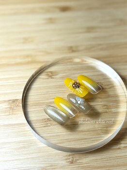 定額デザインネイル 夏