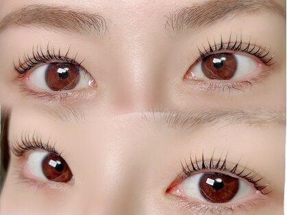 キキ(Kiki)の写真