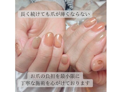 ロッティの写真