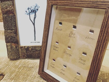 モナ(mona)の写真