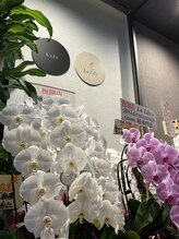 ラリリー(La Lily)/初回クーポンお得です♪