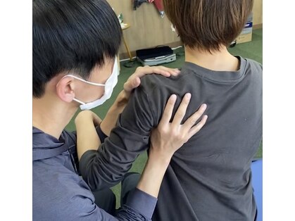ウィル(Will)の写真