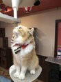 ケーグロウアップスタジオ セントラル治療院(K Glow UP Studio)&nbsp;猫大好きです!