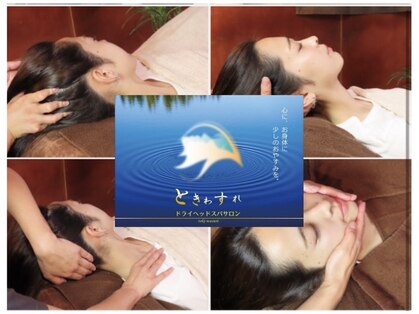 ときわすれの写真