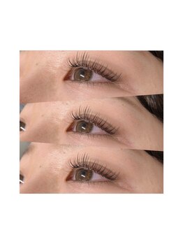 リシェルアイラッシュ 小田原(Richelle eyelash)/*シルク