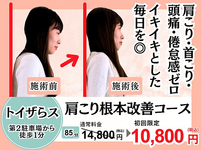 根本式整体 息吹  即日出荷 根本式整体 息吹】根本和典 整体DVD 手技DVD 治療院