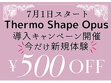 アネラ(ANELA)の雰囲気（ピンポイントで脂肪減少・皮膚の引き締めケアとともに代謝UP）