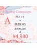 【春キャンペーン A】光フォト + 顔面EMS 通常 ¥8,300 ⇒