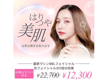 アイビーの写真
