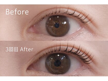 トトルナ(totoluna)の写真