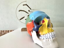 FC徳島ヘルスアンドスポーツ(HEALTH&SPORT)/骨から体の調子を整えます。