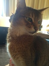 ミーファ(Mieu fa)&nbsp;YUKA .