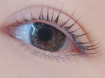 アイスティ(aisti)/