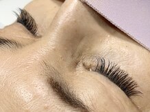 ネスト(Nest)/最高品質セーブル130本/Cカール