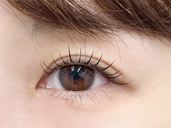 リプリ(RePuli)/フラットラッシュ90本