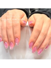 マグネットワンカラー＊*/高崎