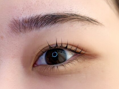 メゾンドボーテ 少路店(MAISON DE BEAUTE)の写真