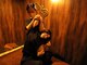 アジアンリラクゼーション ヴィラ 本郷店(asian relaxation villa)の写真