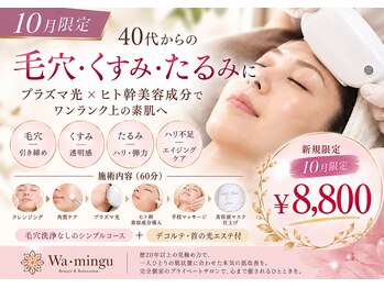 ワミング(Wa mingu)の写真/【10月限定】プラズマ光×ヒト幹美容成分◆毛穴・たるみ・ほうれい線・シミ・くすみ