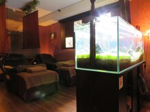 足悠 神楽坂店/かわいい魚たち