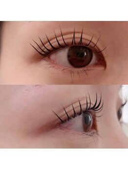 リュミエール アオヤマ(Lumiere AOYAMA)/根元から立ち上げ