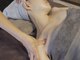 レア(Lea)の写真/どこに行ってもスッキリしない肩・首凝りに!オールハンドリンパマッサージで自分史上最高に軽い!を実現◎