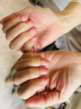 モーヴ(MAUVE)/グラデーション(新規)