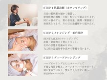 ベルペール(Belle perle)/【フェイシャル】小顔/毛穴/シミ