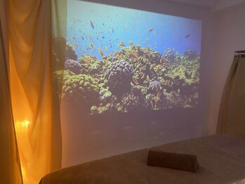 ティーズライフ リブラン 品川店(T’s-life Liburan)の写真/【１日3名限定】都会の喧騒を離れ、自分だけのゆったりとした深海のような空間で心も体もリフレッシュ♪
