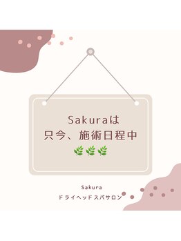 サクラ(Sakura)/只今、施術日程中です
