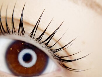 リトラリス(Littoralis)/