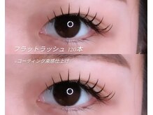 メイズ(May's)/フラットラッシュ120本×束感